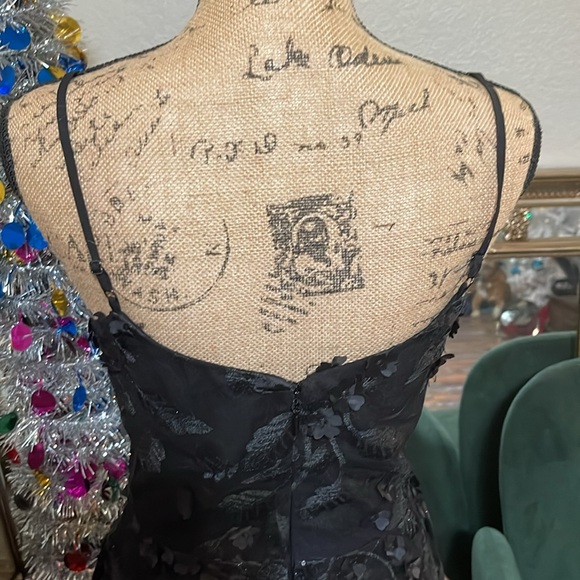 Dress the Population Black Appliqué Dress - Picture 7 of 9